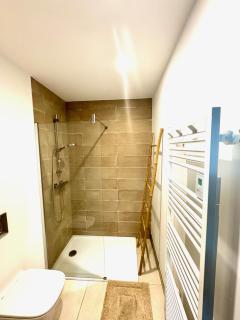 Loft moderne à Strasbourg - 3