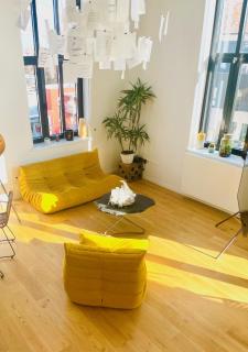 Loft moderne à Strasbourg - 9