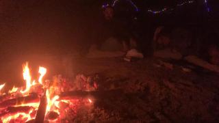 בקתה מעץ בחווה farm B''H - Nevatim - 8