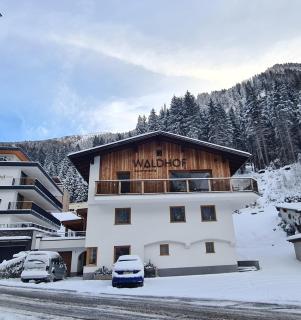 Haus Waldhof - Ischgl - 8