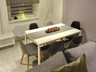 Entire house with arcade machine in a private backyard, 3 bedrooms, 1 bathroom, 1 leaving room with convertible sofa and open kitchen - Mulhouse - 6