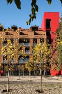 Apart-In Georgia - 7