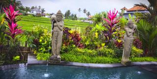 Nandimas Ubud Villa #2 - 8