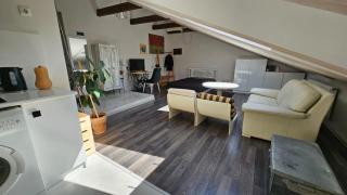 Apartment Studio Loft Ekaterina - 2
