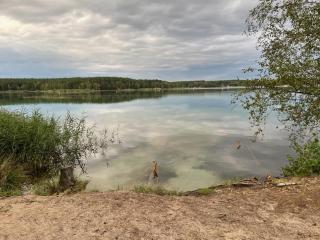 Niemtscher Lodge am See - Niemtsch - 5