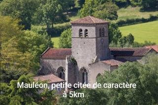 3 Gites proche Puy du fou - Mauléon - 1
