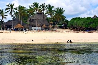 Ocean Villa Watamu - Exclusive Villa in Kenya with Pool and Tropical Garden - 8