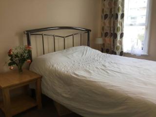 Victorian Period Central Home - 6