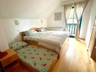 Chalet ANRA Pohorje - 4