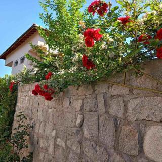 Pirin Private Houses - Sandanski - 7