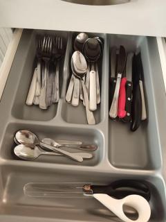 King's Oak Jungle - 2