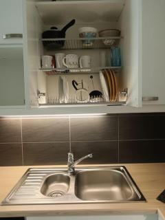 King's Oak Jungle - 4