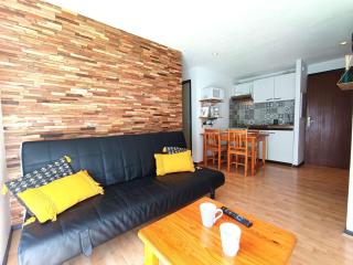 Charmant T2 avec terrasse et parking à Saint-Lary-Soulan - FR-1-457-353 - 0