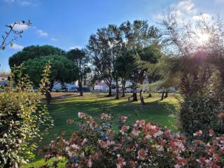 Vela Aurea, Studio 4 couchages en rez de jardin, avec terrasse et parking, à 500m de la plage - 5