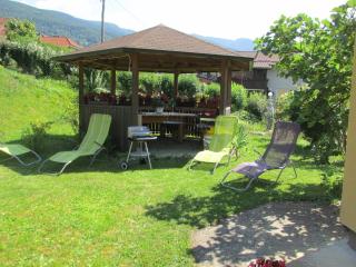 TURISTIČNA KMETIJA LIPNIK - Lovrenc na Pohorju - 9