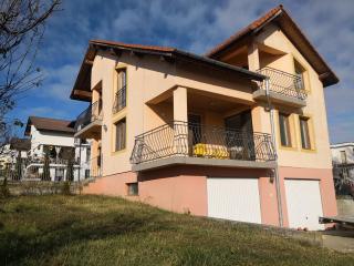 Casa DaLi - Sibiu - 5