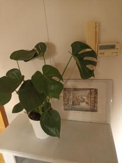 Isangarda Apartment - 7