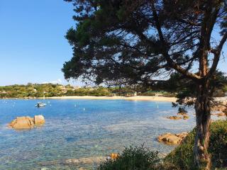 Duplex neuf T3 terrasse et jardin proche plages - Pietrosella - 4
