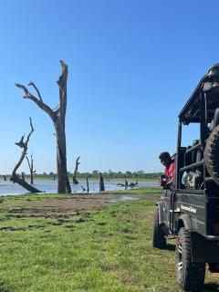 Nice View Safari villa - Udawalawe - 9
