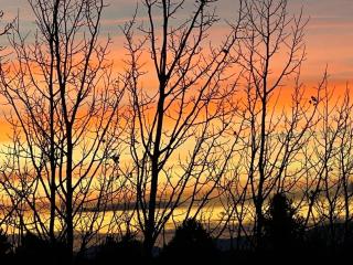Abandoned Rail Cabin -19 miles to Breckenridge! Hot Tub! - 4