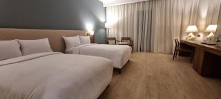 Phoenix Hotel & Wellness - Sheikh Zayed - 0