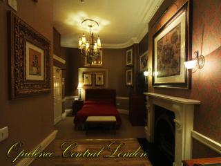 Opulence Boutique Hotel - Londra - 8
