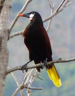 Hotel Villas de la Colina - 6