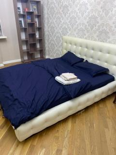 Прекрасная квартира с видом на Алматинку и горы - 4