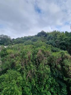 Apartamento espaçoso em Laranjeiras, rua do Cristo Redentor - Rio de Janeiro - 3