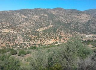 Paradise Valley Guest house - 4