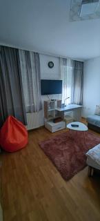 Sabac City Apartman Centre S 2 - Šabac - 7