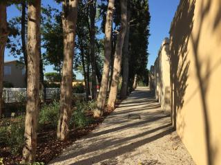 Bastidon 19 - Saint-Rémy-de-Provence - 6
