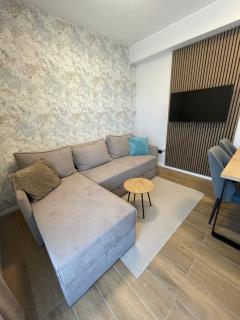 Apartment 7 Hills, Kopaonik - Kopaonik - 7