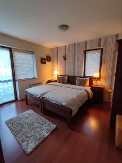 GALA Two-Bedroom Apartment 200m from SKI LIFT - Bansko - 1