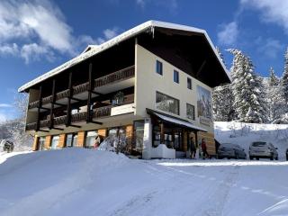 Appartements Lärchenhof - Bad Kleinkirchheim - 9