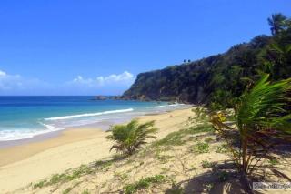 Ramey Loft 2 - Aguadilla - 1