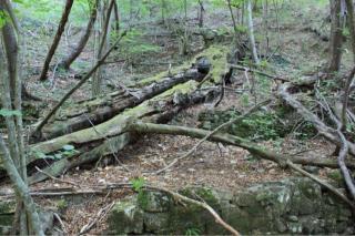 Hermit Room in The Ghost Town of Zerni - 7