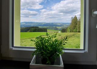 Bäuerleshütte - Breitnau - 5