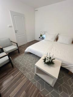 Řadový dům se dvěma apartmány - Třebíč - 7