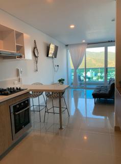 Lujoso Apartamento tipo loft - Puerto de Gaira - 9