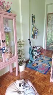 Apartamento Gracioso ao lado do Parque das Águas - Caxambu - 2