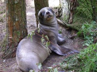 Catlins Newhaven Holiday Park - Owaka - 6