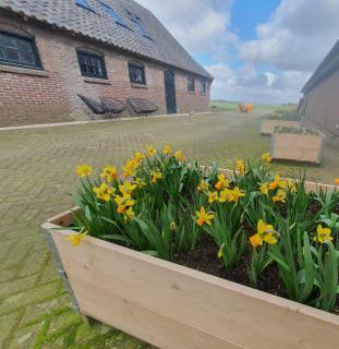 De Wagenloods - Alphen aan den Rijn - 5