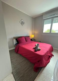 Strasbourg Apartment with parking - Strasburgo - 4
