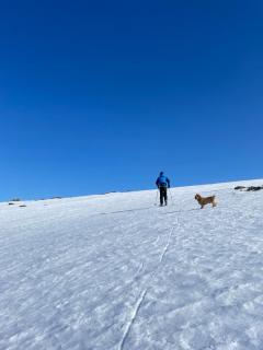 Lakeside Chalet Vinkka - 4