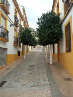 Alojamiento Los Naranjos - Almodóvar del Río - 2