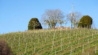 Ferienwohnung Am Roten Turm - 2
