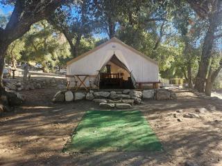 Oak Knoll Village - Palomar Mountain - 5