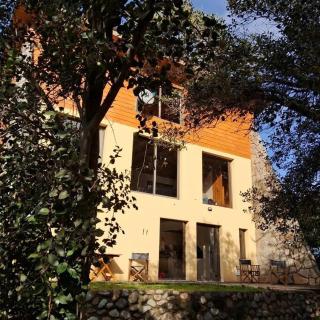 Mi Casa del Lago - Villa Pehuenia - 0