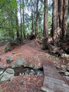 BridgesView Spa & Couples Retreat, Parking for 2 - Oakland - 6